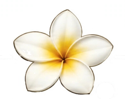 The Plumeria Press